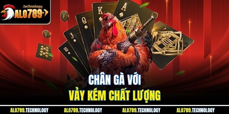 Nhận Diện Vảy Gà Xấu Toàn Diện Cho Người Nuôi Mới Bắt Đầu 4 Chân gà với vảy kém chất lượng