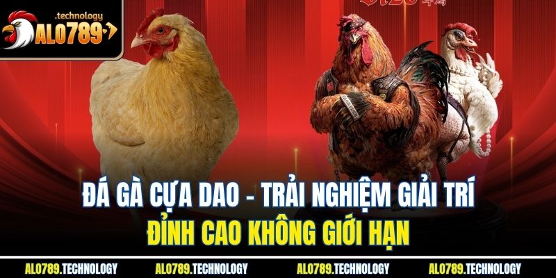Đá Gà Cựa Dao – Trải Nghiệm Giải Trí Đỉnh Cao Không Giới Hạn 1 Đá Gà Cựa Dao – Trải Nghiệm Giải Trí Đỉnh Cao Không Giới Hạn