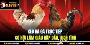 Kèo Đá Gà Trực Tiếp - Cơ Hội Làm Giàu Hấp Dẫn, Kịch Tính