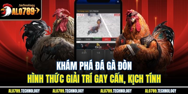 Khám Phá Đá Gà Đòn - Hình Thức Giải Trí Gay Cấn, Kịch Tính 1 Khám Phá Đá Gà Đòn - Hình Thức Giải Trí Gay Cấn, Kịch Tính