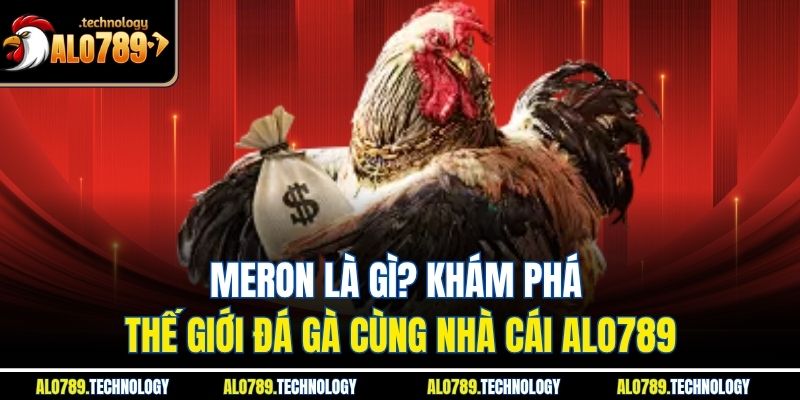 Meron Là Gì? Khám Phá Thế Giới Đá Gà Cùng Nhà Cái Alo789 1 Meron Là Gì? Khám Phá Thế Giới Đá Gà Cùng Nhà Cái Alo789