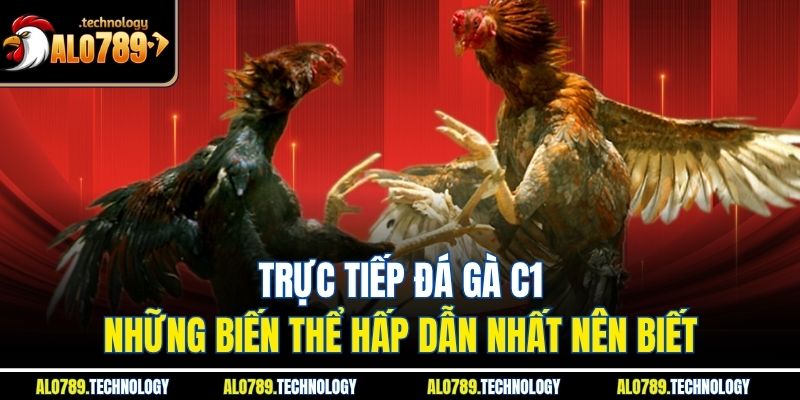 Trực Tiếp Đá Gà C1 | Những Biến Thể Hấp Dẫn Nhất Nên Biết 1 Trực Tiếp Đá Gà C1 | Những Biến Thể Hấp Dẫn Nhất Nên Biết